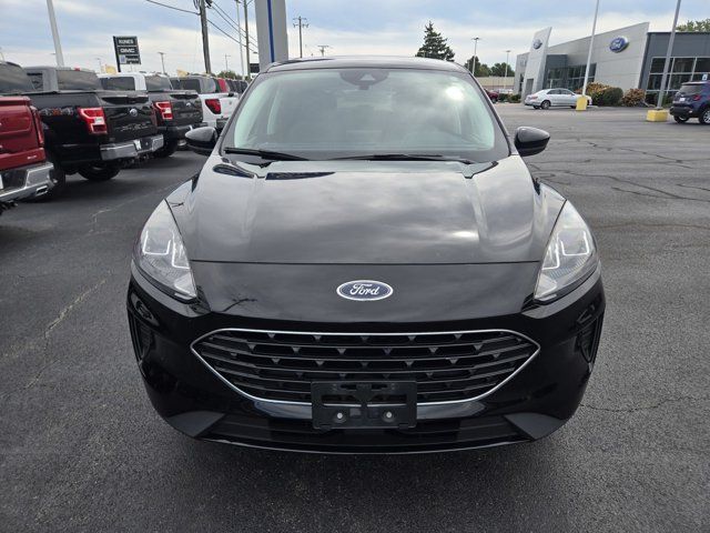 Used 2022 Ford Escape SE w/ SE Sport Appearance Package AWD/4WD image 3