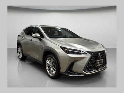 Used 2025 Lexus NX 350h AWD w/ Cold Area Package