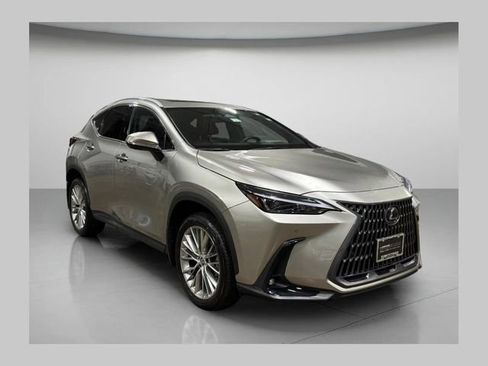 Used 2025 Lexus NX 350h AWD w/ Cold Area Package image 1