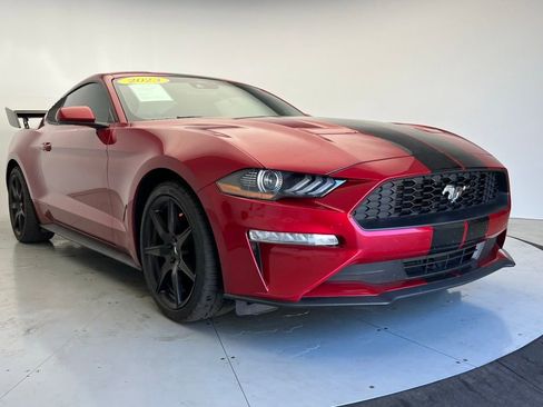 Used 2023 Ford Mustang Coupe w/ Equipment Group 101A RWD image 2