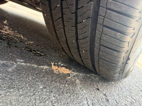 Used 2019 Honda Accord LX image 20