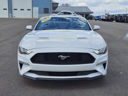 Used 2023 Ford Mustang Premium image 9