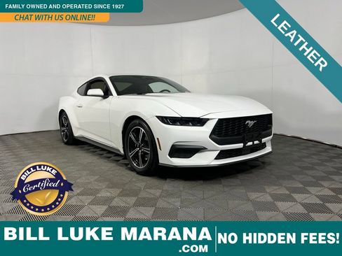 Used 2025 Ford Mustang Premium image 1