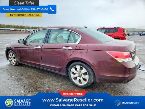 Used 2010 Honda Accord EX-L image 3