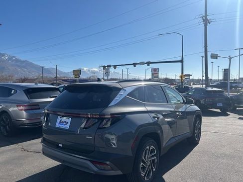 New 2026 Hyundai Tucson Limited image 5
