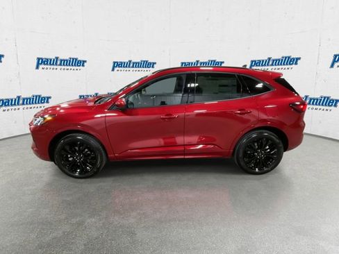 New 2026 Ford Escape ST-Line Elite w/ Equipment Group 501A image 7