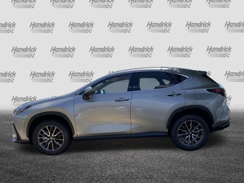 Used 2026 Lexus NX 350 AWD w/ Cold Area Package image 7