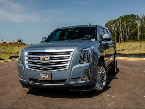 Used 2016 Cadillac Escalade Platinum RWD image 2