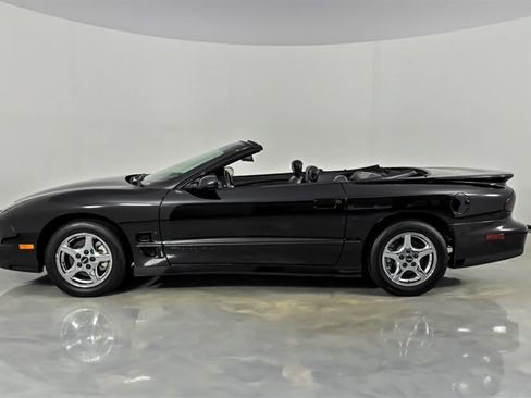 Used 2002 Pontiac Firebird Trans Am RWD image 7