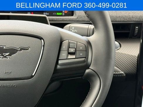 New 2025 Ford Mustang Mach-E Premium w/ Interior Protection Package RWD image 24
