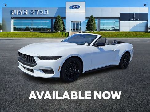 New 2025 Ford Mustang Convertible w/ Mustang Nite Pony Package image 3