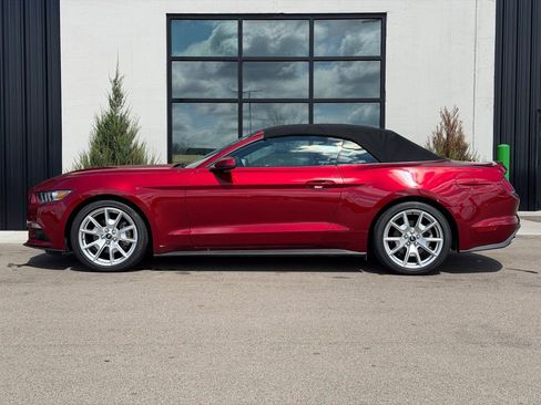 Used 2015 Ford Mustang Premium w/ Equipment Group 201A image 2