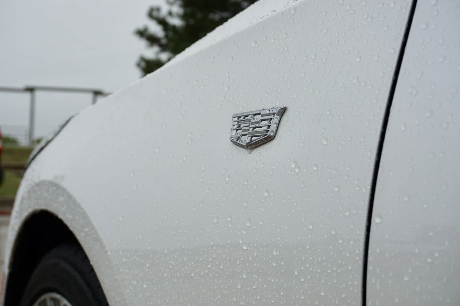 Used 2023 Cadillac CT4 Premium Luxury RWD image 8