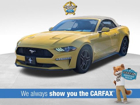 Used 2018 Ford Mustang Premium w/ Equipment Group 201A image 1