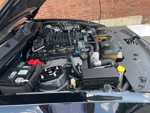 Used 2010 Ford Mustang Shelby GT500 image 21