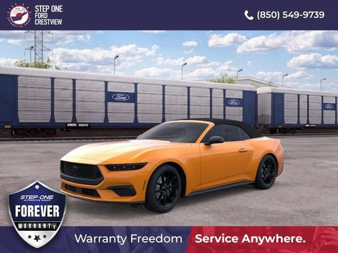 New 2026 Ford Mustang Premium w/ Mustang Nite Pony Package RWD image 1