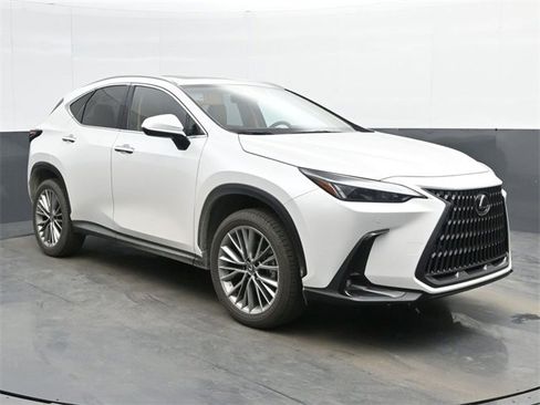 Used 2025 Lexus NX 350h AWD w/ Premium Package image 1