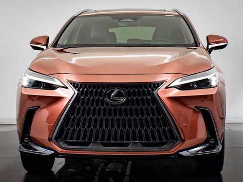 Used 2025 Lexus NX 350 AWD w/ Cold Area Package image 2