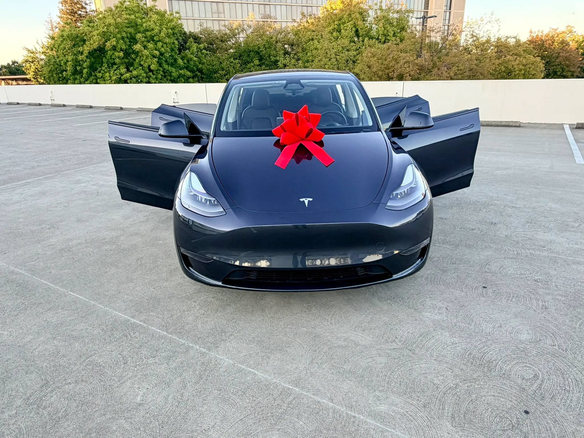 Used 2025 Tesla Model Y Long Range AWD/4WD image 31