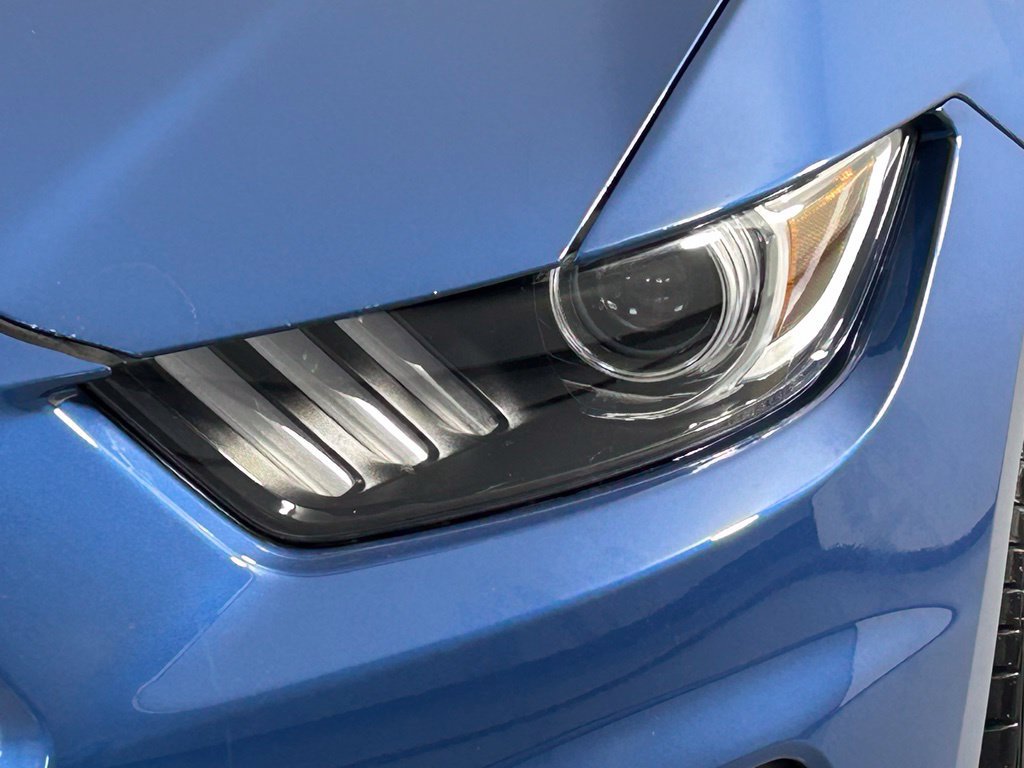 Used 2019 Ford Mustang Shelby GT350 RWD image 3