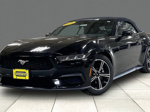 Certified 2024 Ford Mustang Premium image 2