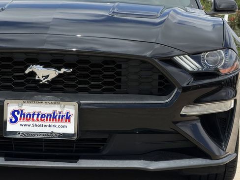 Used 2019 Ford Mustang Coupe w/ Ecoboost Performance Package RWD image 8