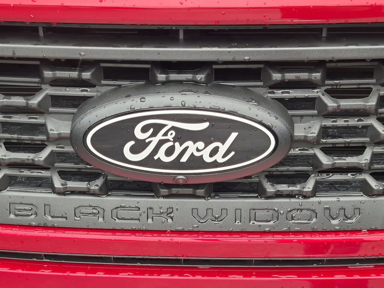 Used 2024 Ford F150 XLT w/ Equipment Group 303A High AWD/4WD image 12