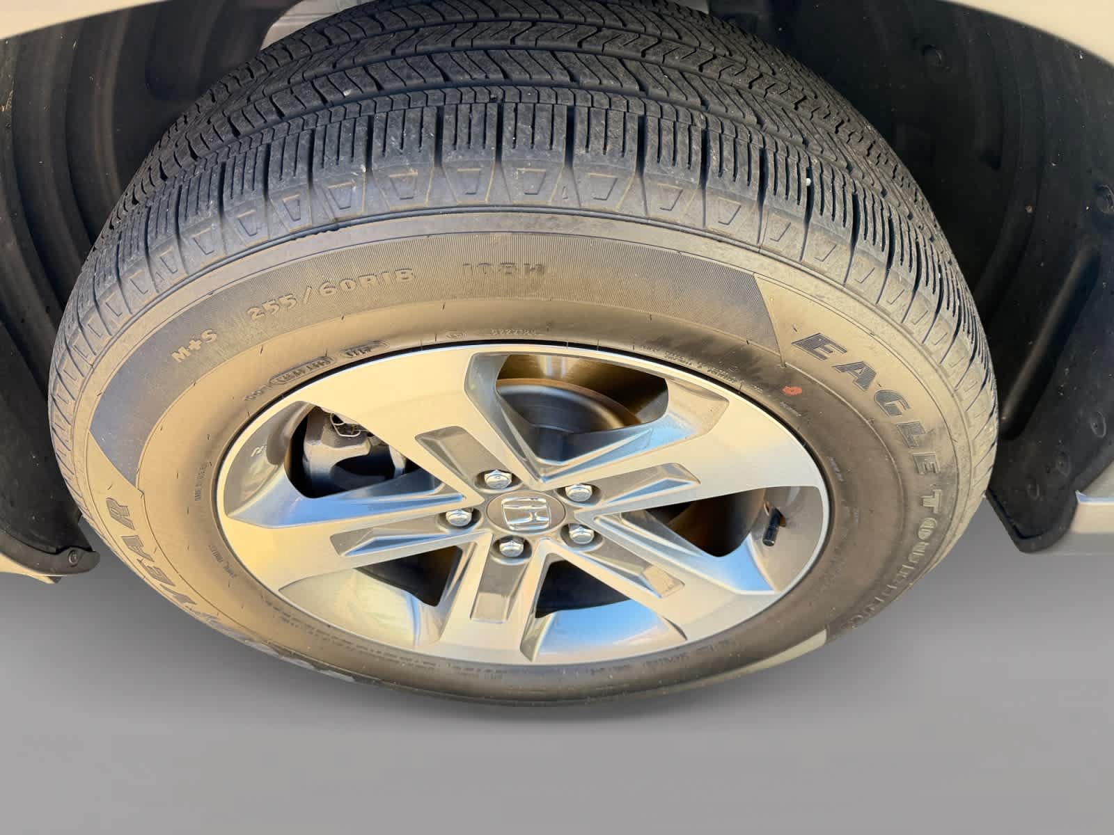 Used 2025 Honda Pilot EX-L image 6