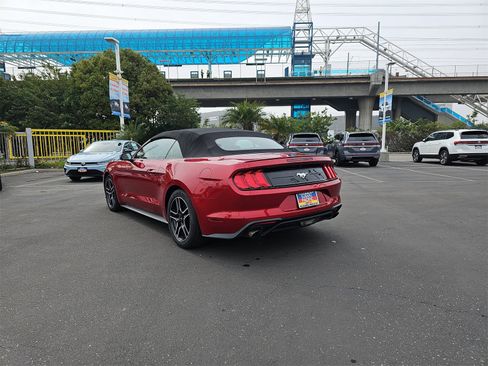 Used 2023 Ford Mustang Premium image 5