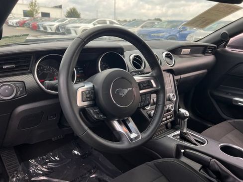 Used 2019 Ford Mustang Coupe RWD image 14