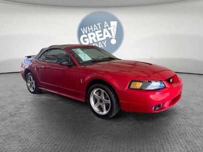 Used 2001 Ford Mustang Cobra