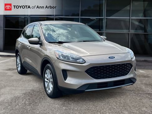 Used 2020 Ford Escape SE AWD/4WD image 1