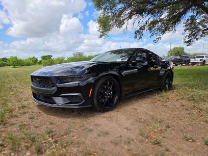 New 2026 Ford Mustang Coupe w/ Mustang Nite Pony Package