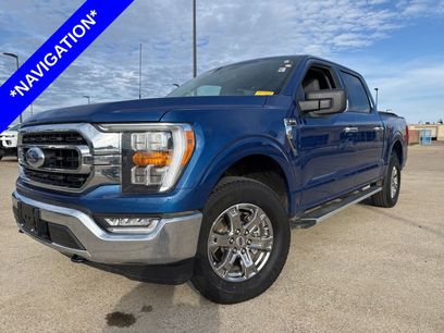 Used 2023 Ford F150 XLT w/ Equipment Group 302A High