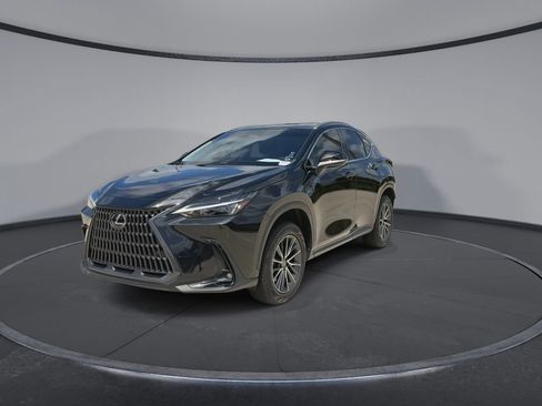 Used 2025 Lexus NX 350h AWD w/ Premium Package image 4