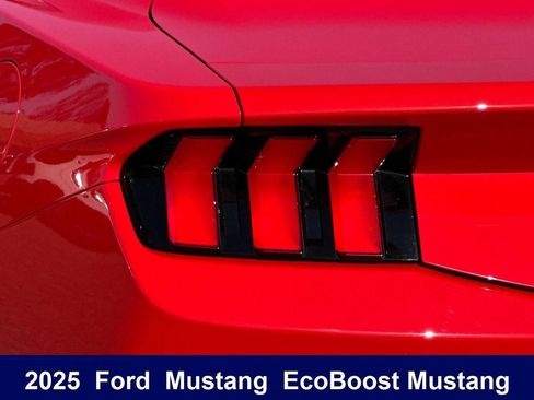 Used 2025 Ford Mustang Coupe RWD image 37