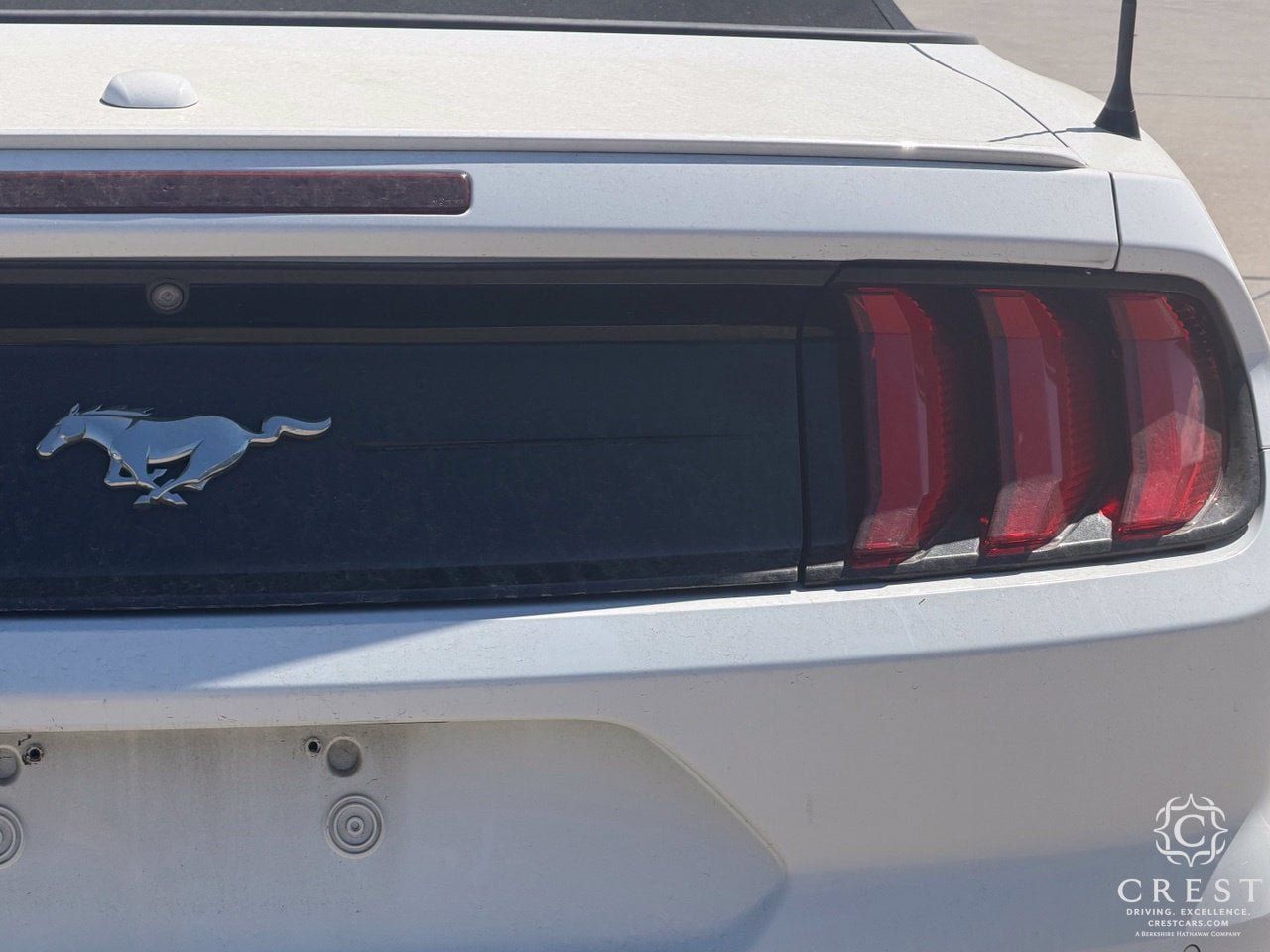 Used 2020 Ford Mustang Premium RWD image 7