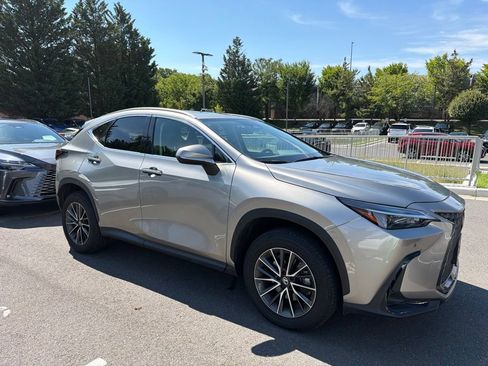 Certified 2026 Lexus NX 350 AWD w/ Cold Area Package image 3
