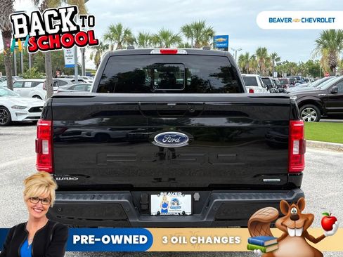 Used 2023 Ford F150 XLT w/ Equipment Group 302A High AWD/4WD image 6