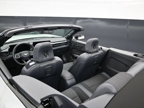 New 2026 Ford Mustang Convertible w/ Mustang Nite Pony Package RWD image 13