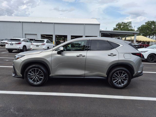 Certified 2026 Lexus NX 350 AWD w/ Cold Area Package image 8
