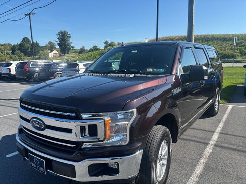 Used 2019 Ford F150 XLT w/ Equipment Group 301A Mid AWD/4WD image 2