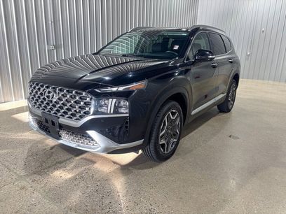 Used 2023 Hyundai Santa Fe Limited
