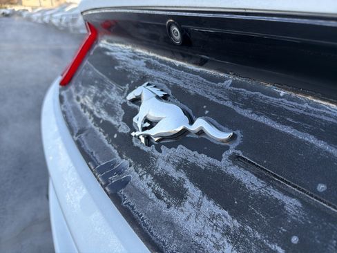 Used 2019 Ford Mustang Coupe w/ Ecoboost Performance Package image 27