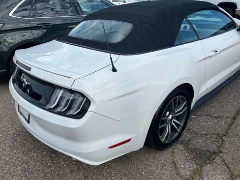 Used 2017 Ford Mustang Premium RWD image 15