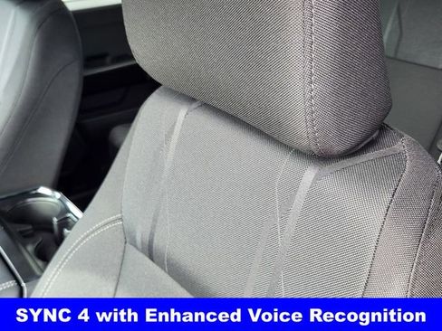 New 2026 Ford F150 STX w/ Equipment Group 200A image 15