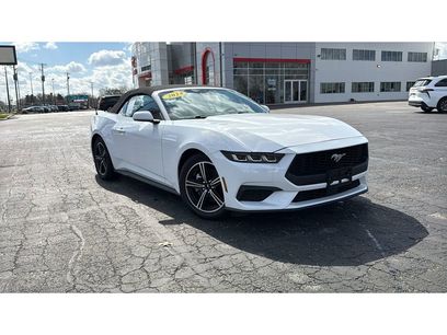 Used 2024 Ford Mustang Premium