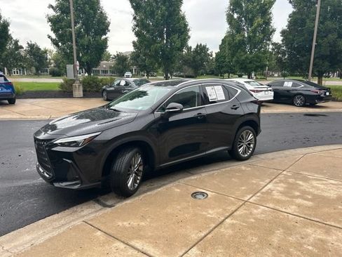 Used 2023 Lexus NX 350 AWD w/ Cold Area Package image 3