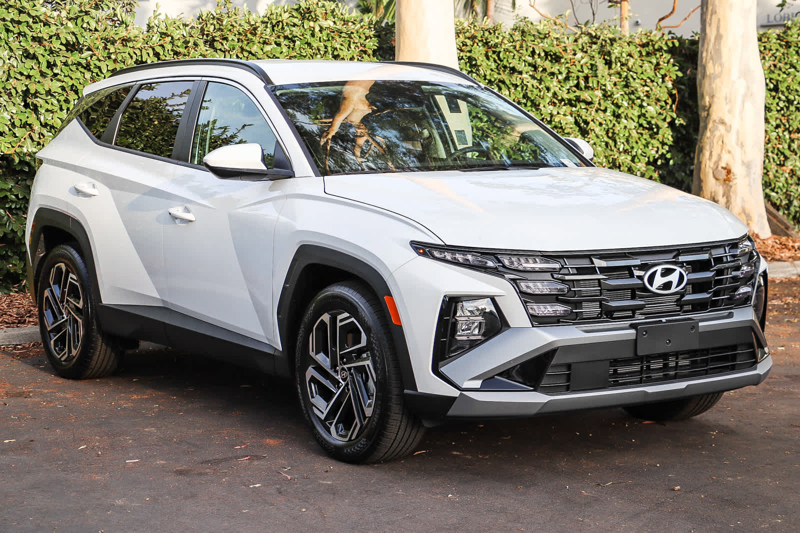 New 2026 Hyundai Tucson SEL Plus FWD image 3