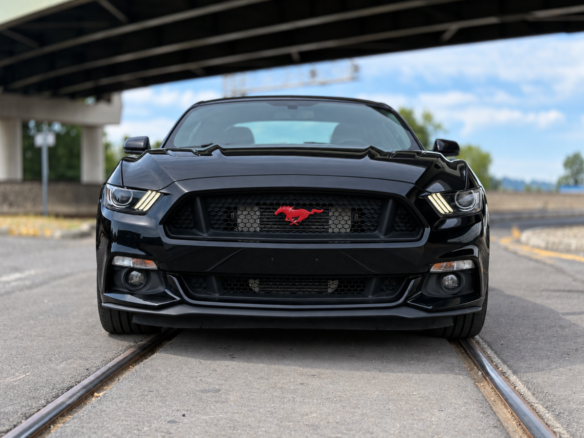 Used 2016 Ford Mustang GT Premium w/ Equipment Group 401A RWD image 8